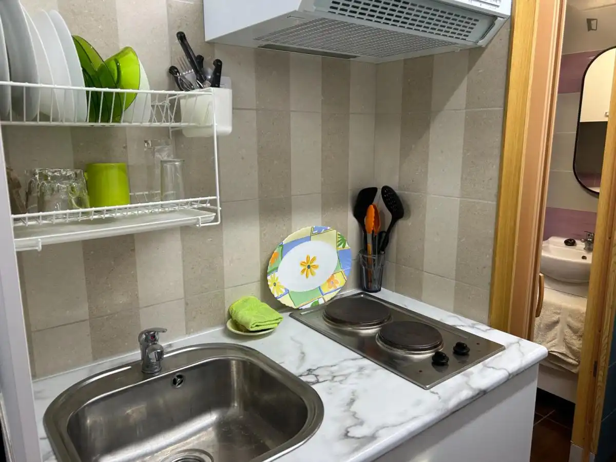 Kitchen of Study for rent in L'Hospitalet de Llobregat  with Air Conditioner, Heating and Furnished