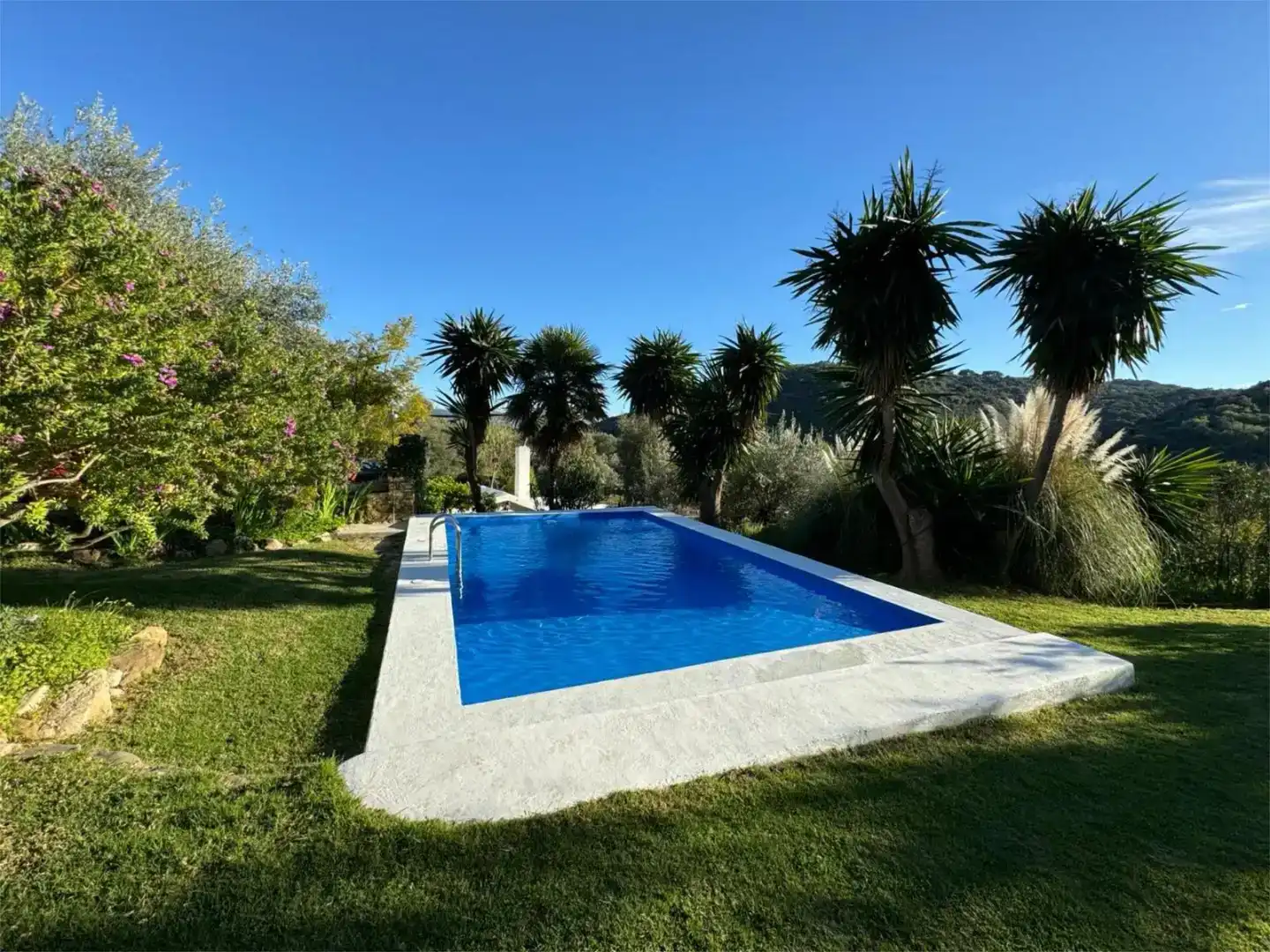 Piscina de Casa o chalet de alquiler en Cortes de la Frontera, Málaga