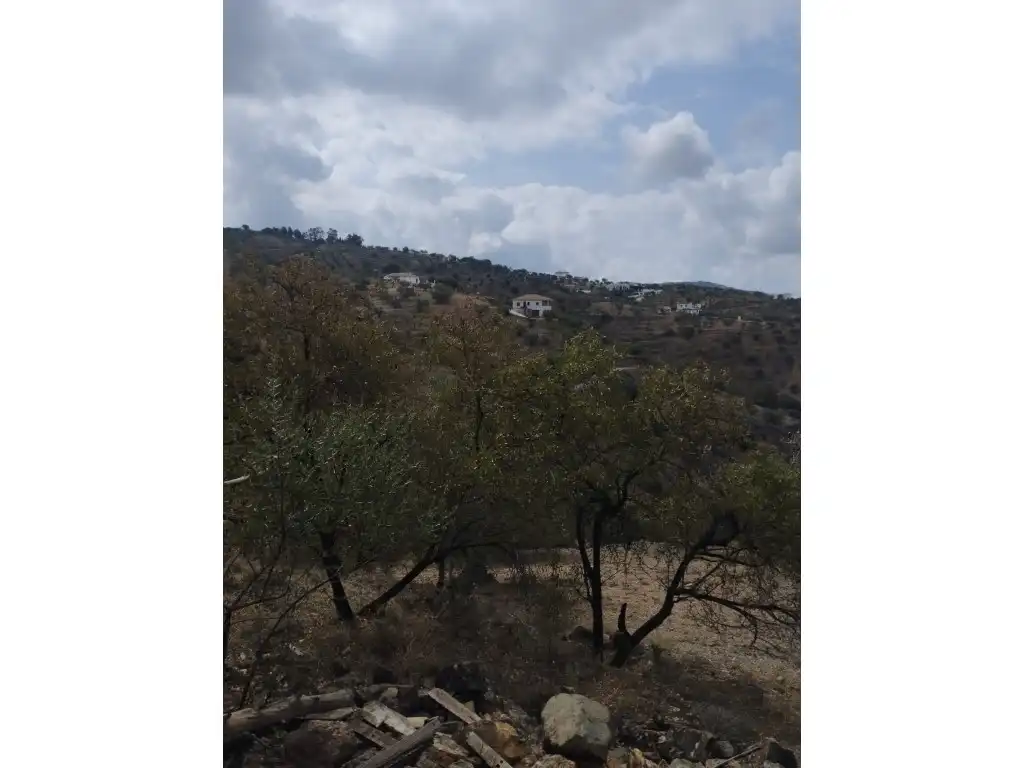 Houses for sale in Riogordo