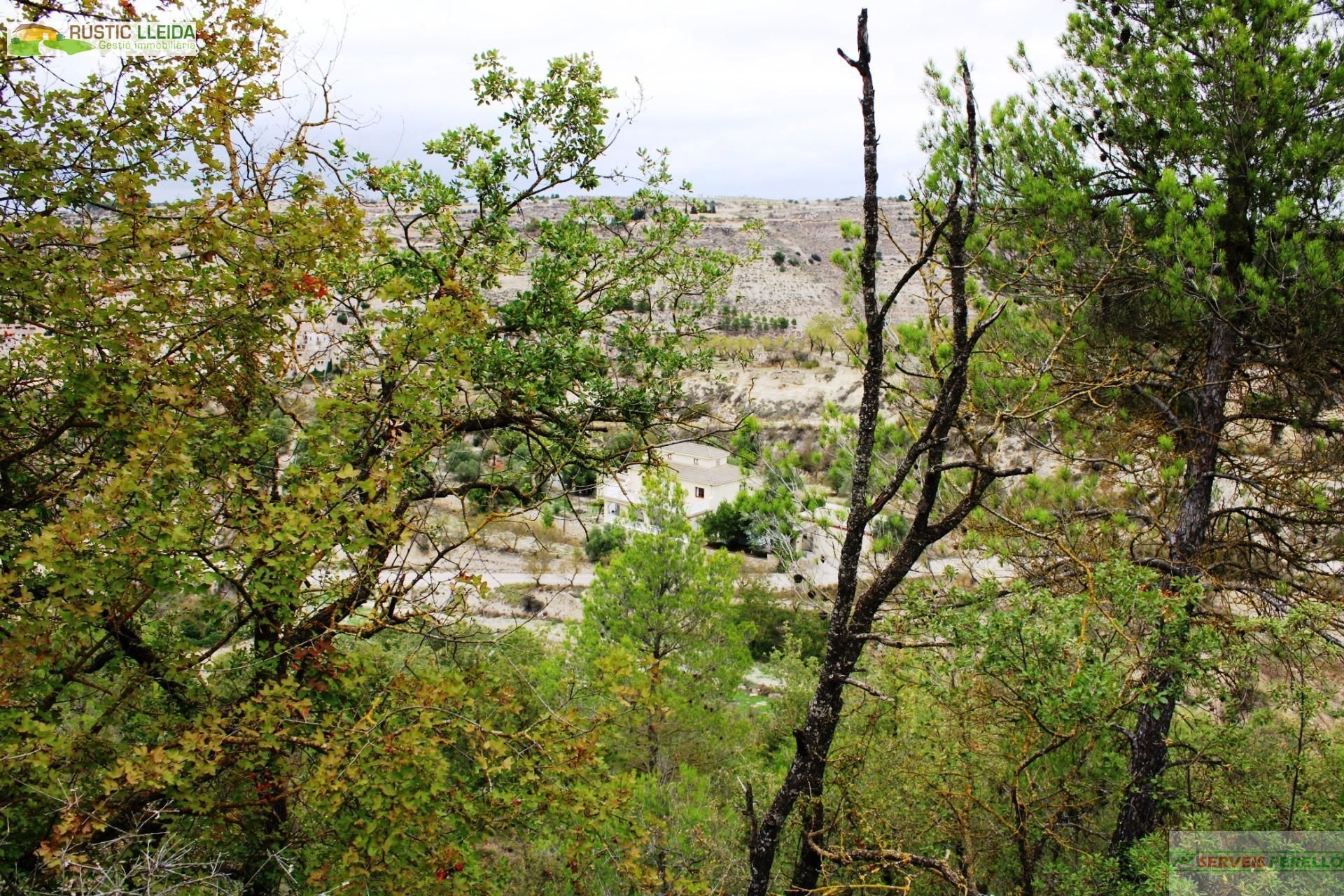 Casa o xalet en venda a Guimerà