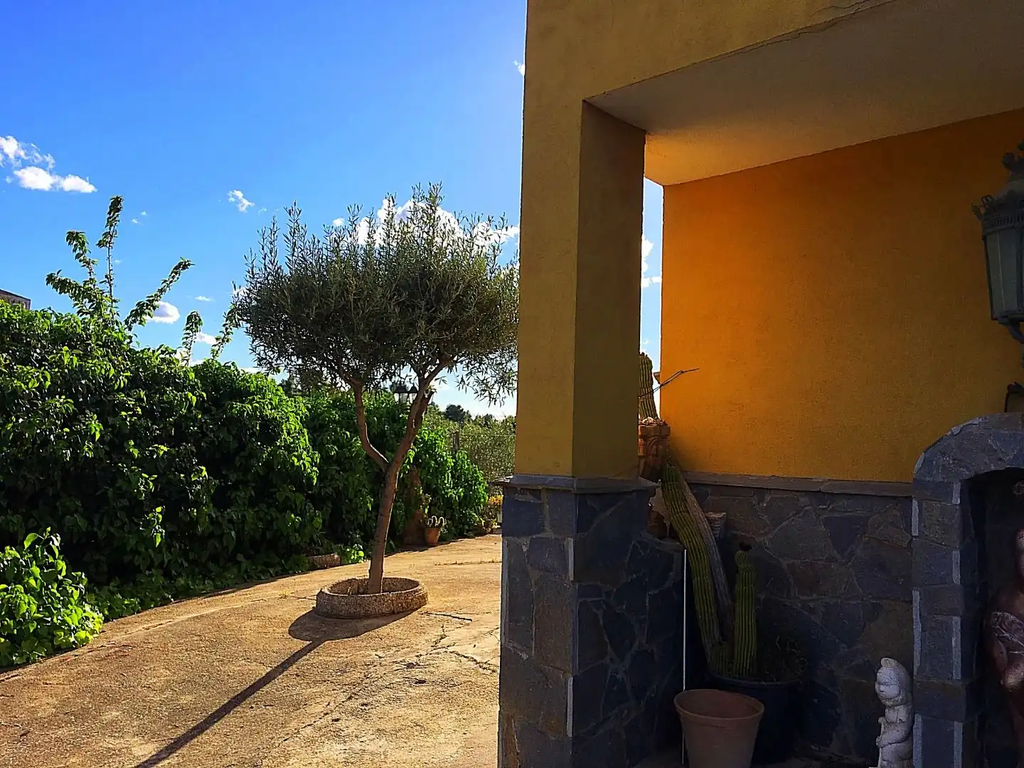 Garden of Houses for sale in Els Guiamets
