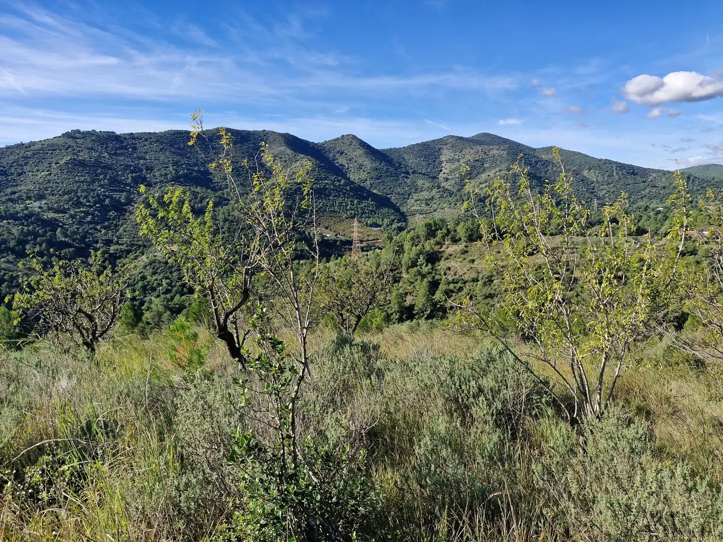 Terreno en venta en La Selva del Camp