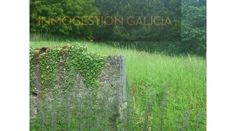 PARCELA URBANA Y AGRARIA, immagine 3