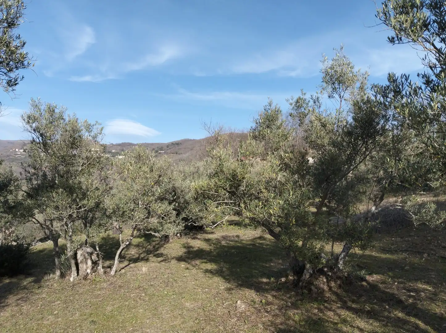 Terreno en venta en Barrado