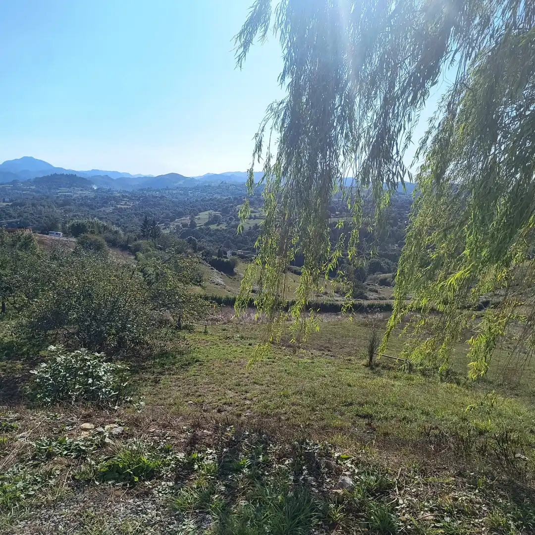 Casa o xalet en venda en Oviedo  amb Aire condicionat, Calefacció i Jardí privat