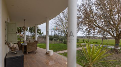 Foto 3 de Casa o chalet en venta en Dehesilla de Calamón - Campomanes, Badajoz Capital