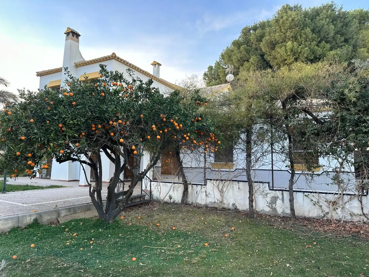 Xalet amb jardí en venda a Pedanías Centro, imagen 5