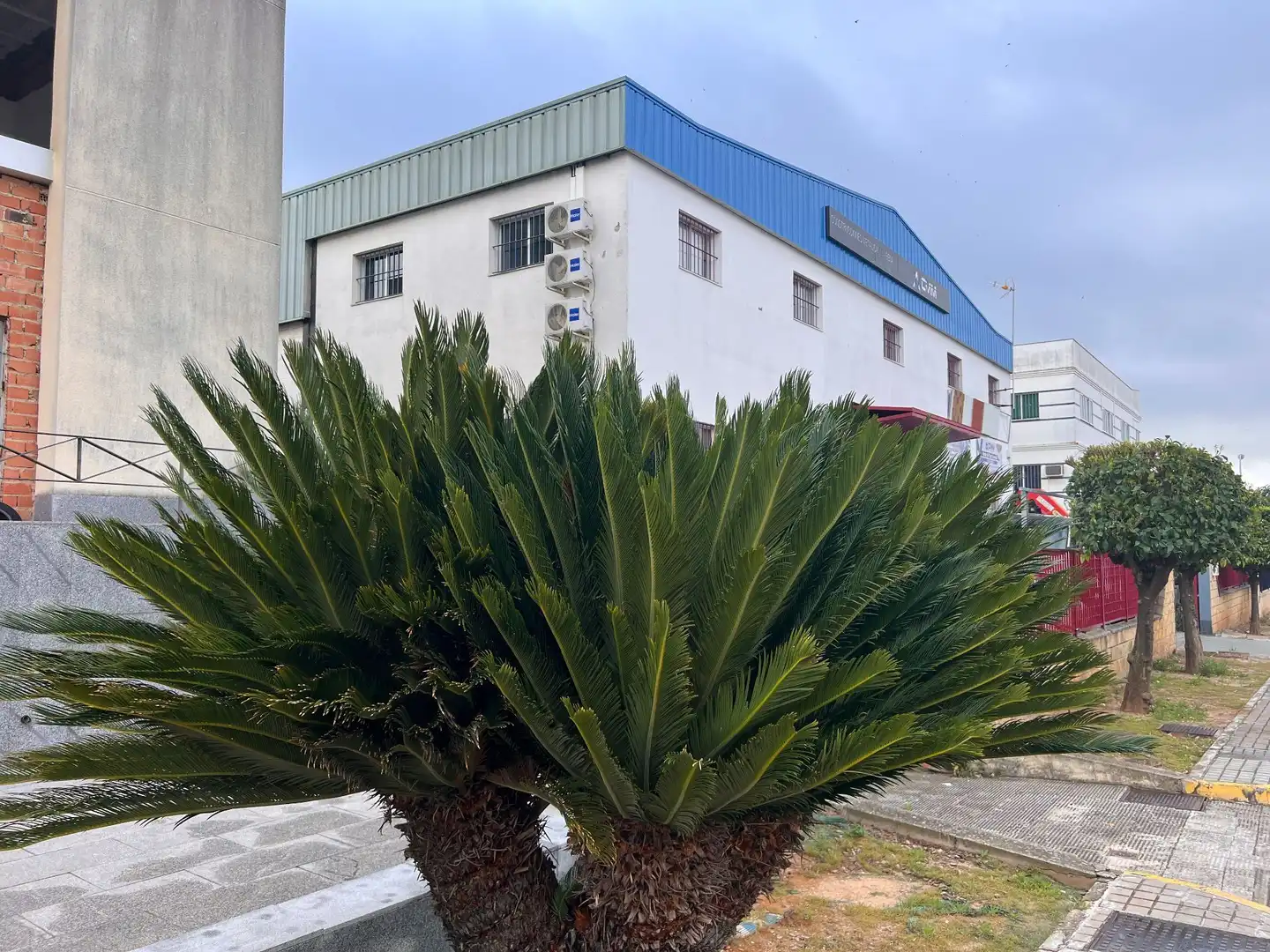 Local comercial en venta en Comercio 8, imagen 8