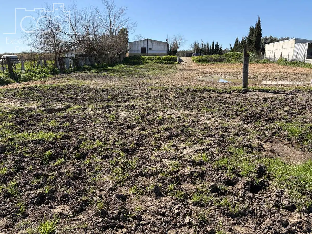 Finca rústica en venda en Pilas