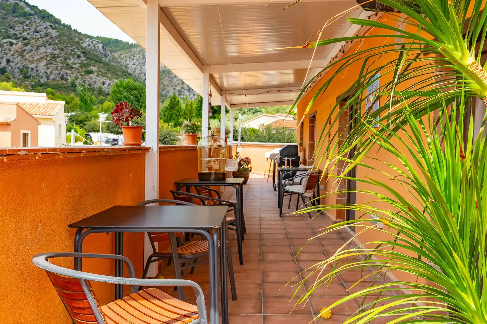 Terrace of Commercial properties for sale in Sagra