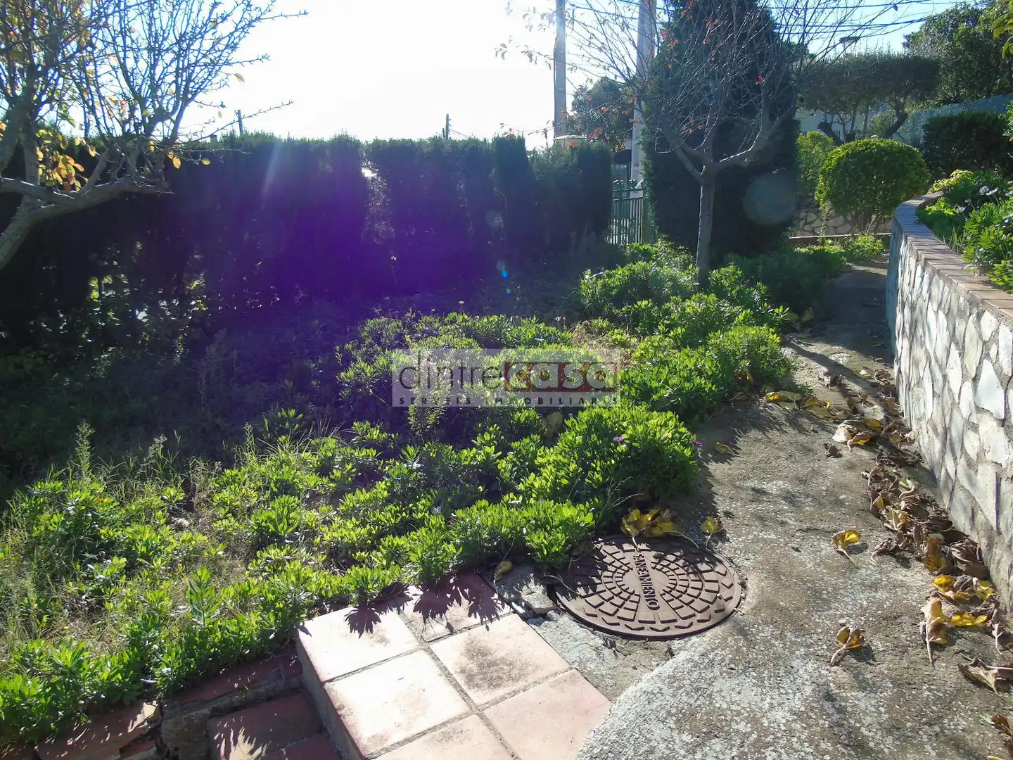 Casa o chalet en venta en Mas Mora - Sant Daniel