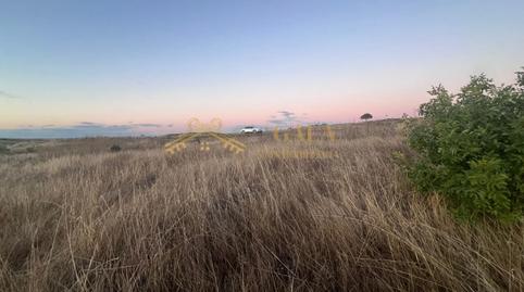Photo 2 of Country house for sale in Casar de Cáceres, Cáceres