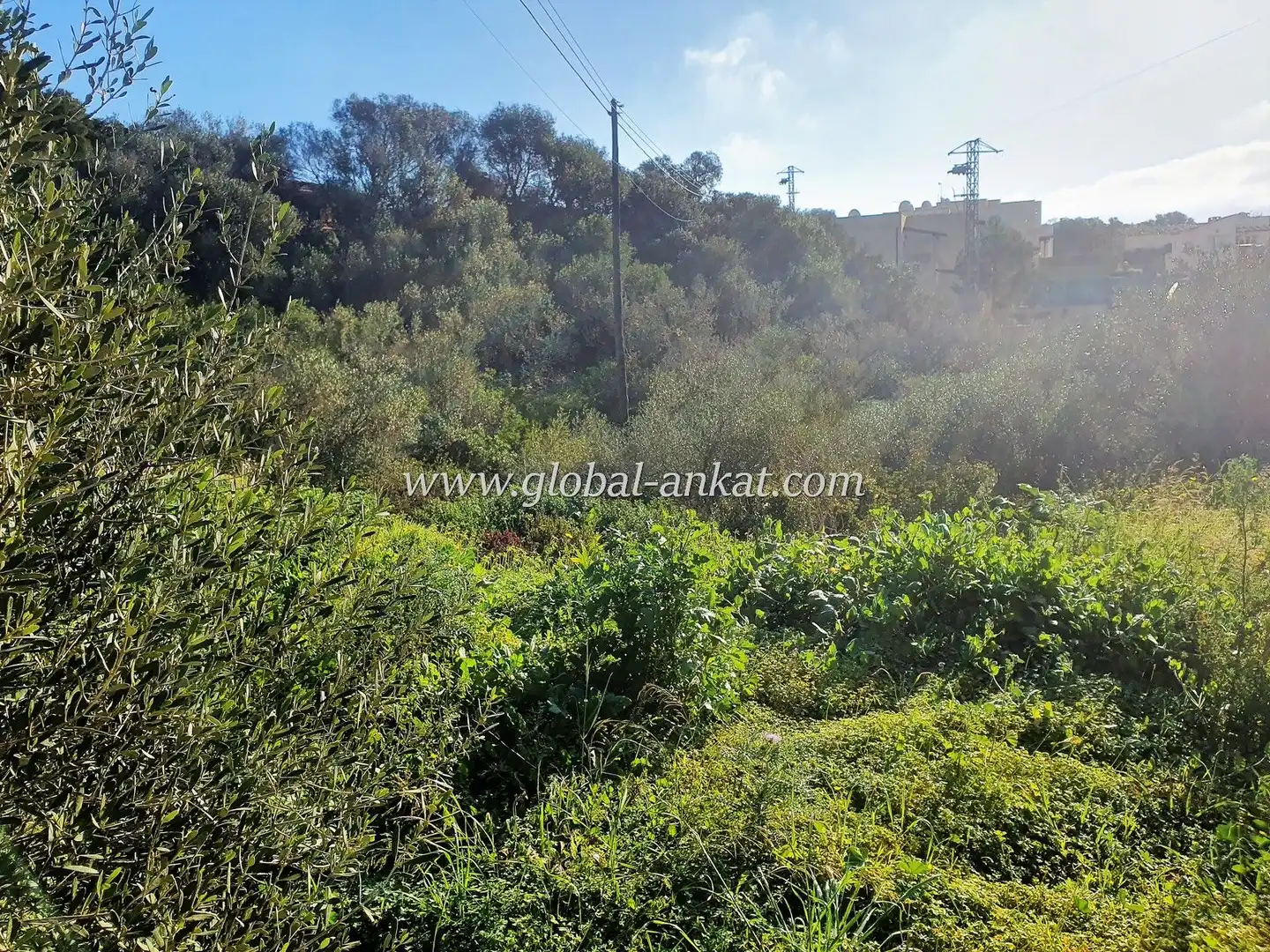 Residencial en venda en Manacor