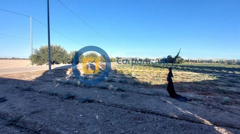 Parcela para construcción de vivienda unifamiliar en Marchena