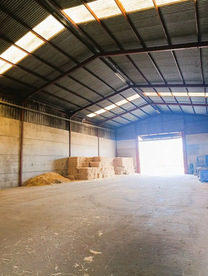 Nave industrielle à vendre à San Isidro - Campohermoso, imagen 3