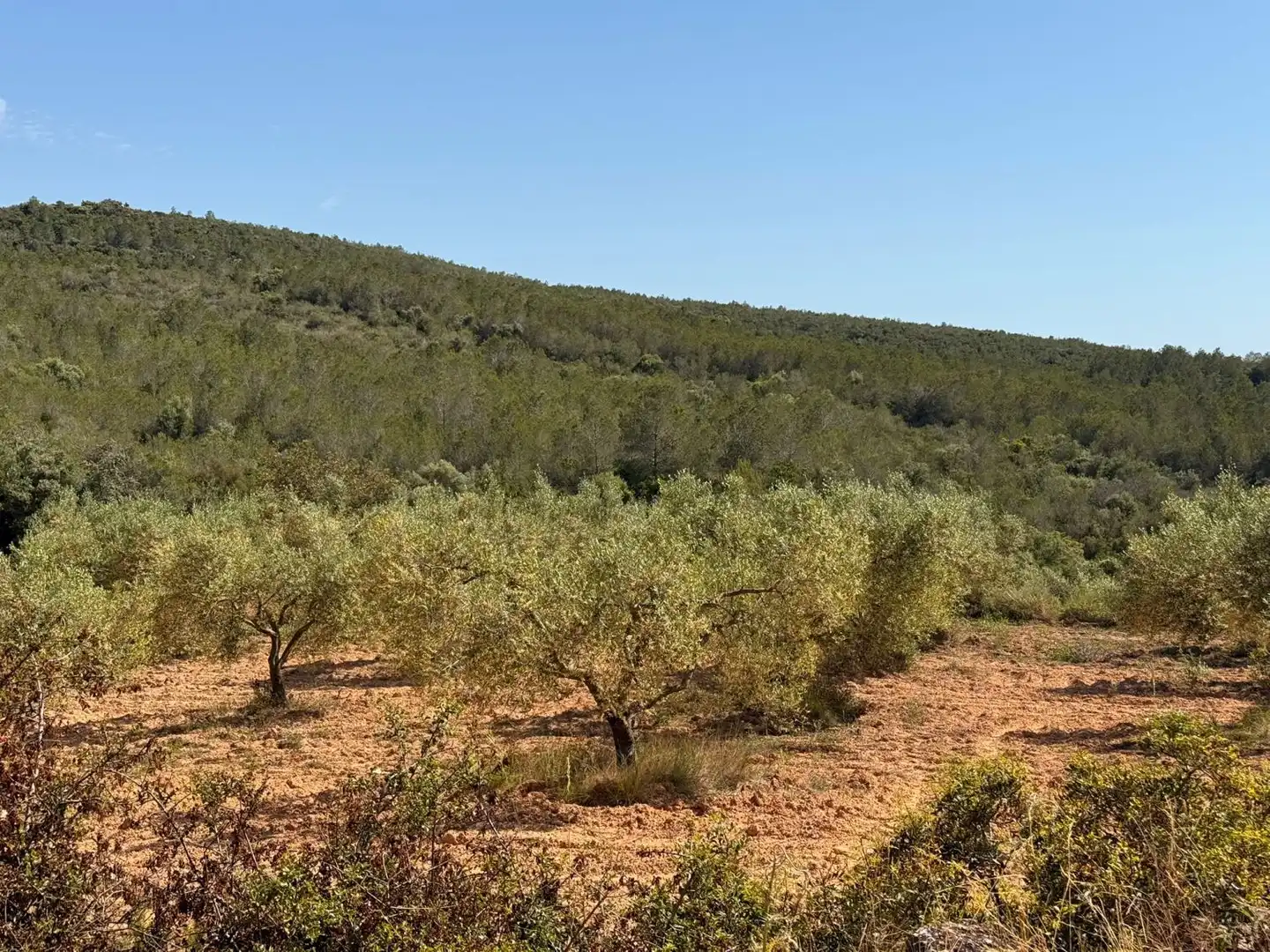 Finca rústica en venda a Vespella de Gaià
