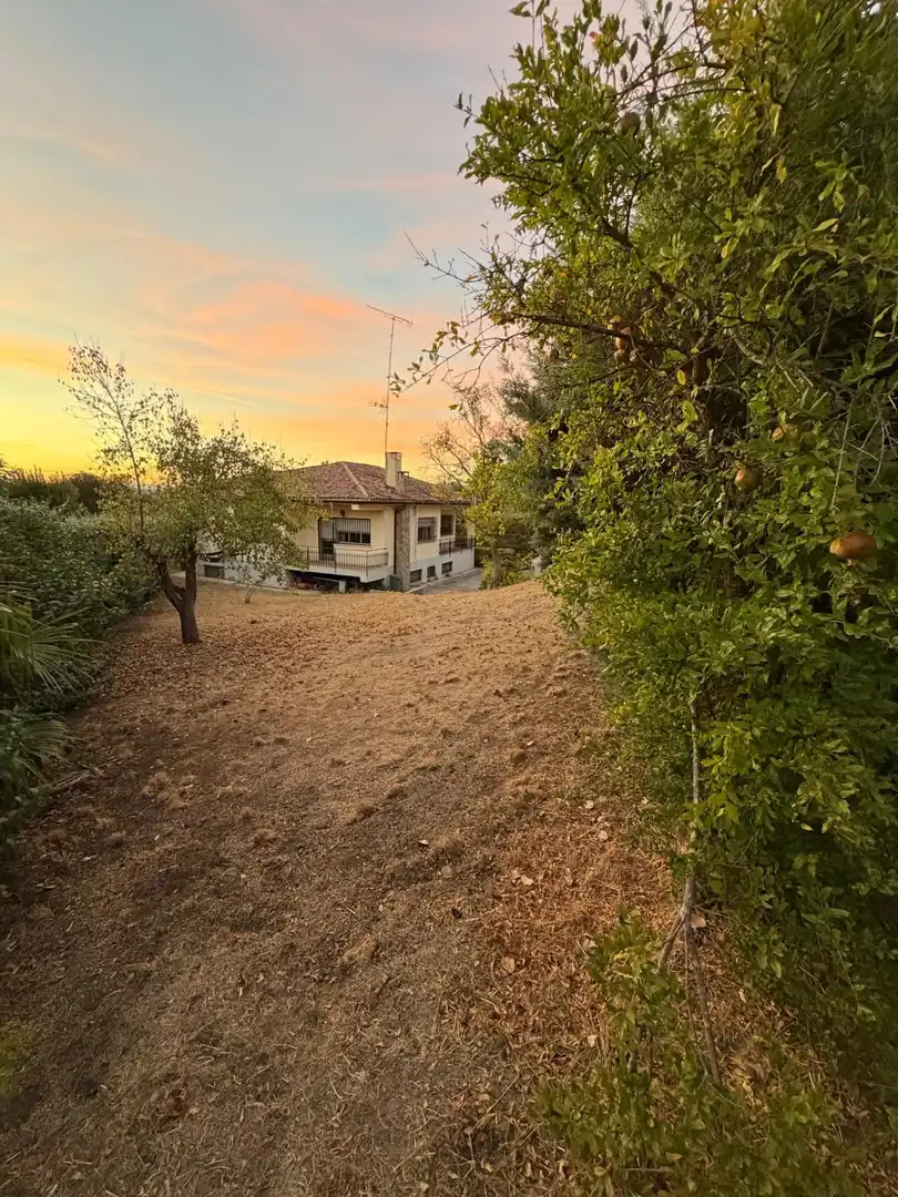 Detached house with pool for sale in Parque Coimbra, imagen 20