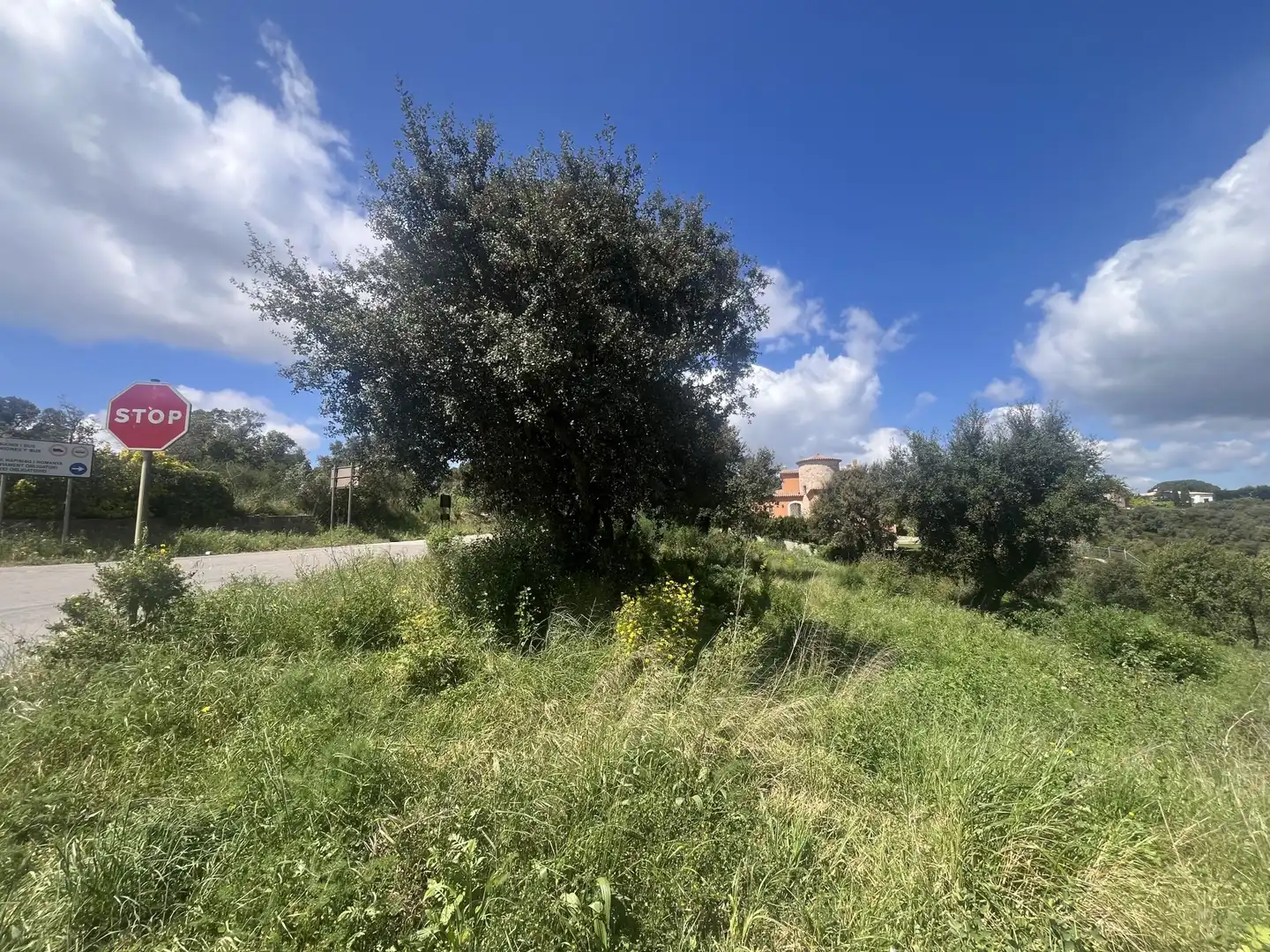 Lands and plots for sale in DE ROMANYÀ