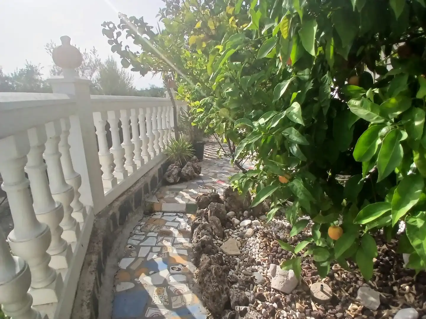 Jardí de Casa o xalet en venda en Jaén amb Aire condicionat, Traster i Piscina