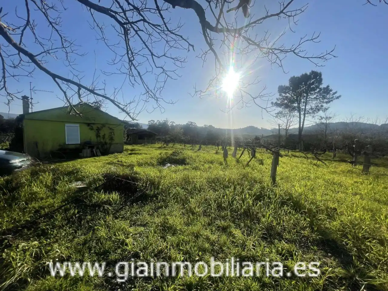 Casa con jardín en venta en Calle Xestal, imagen 12