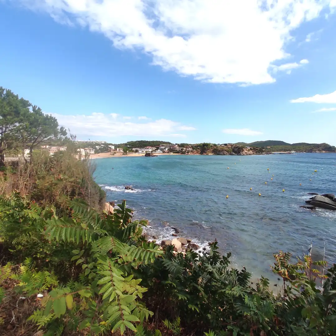 Vista exterior de Casa o chalet en venta en Palamós con Jardín privado, Terraza y Trastero