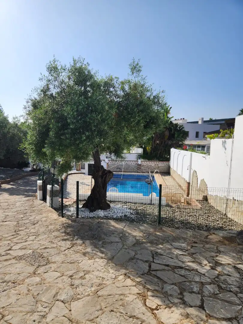 Casa o xalet de lloguer a Calle los Olivos, Coín