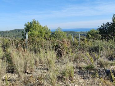 Terreny residencial en venda a Segur de Dalt