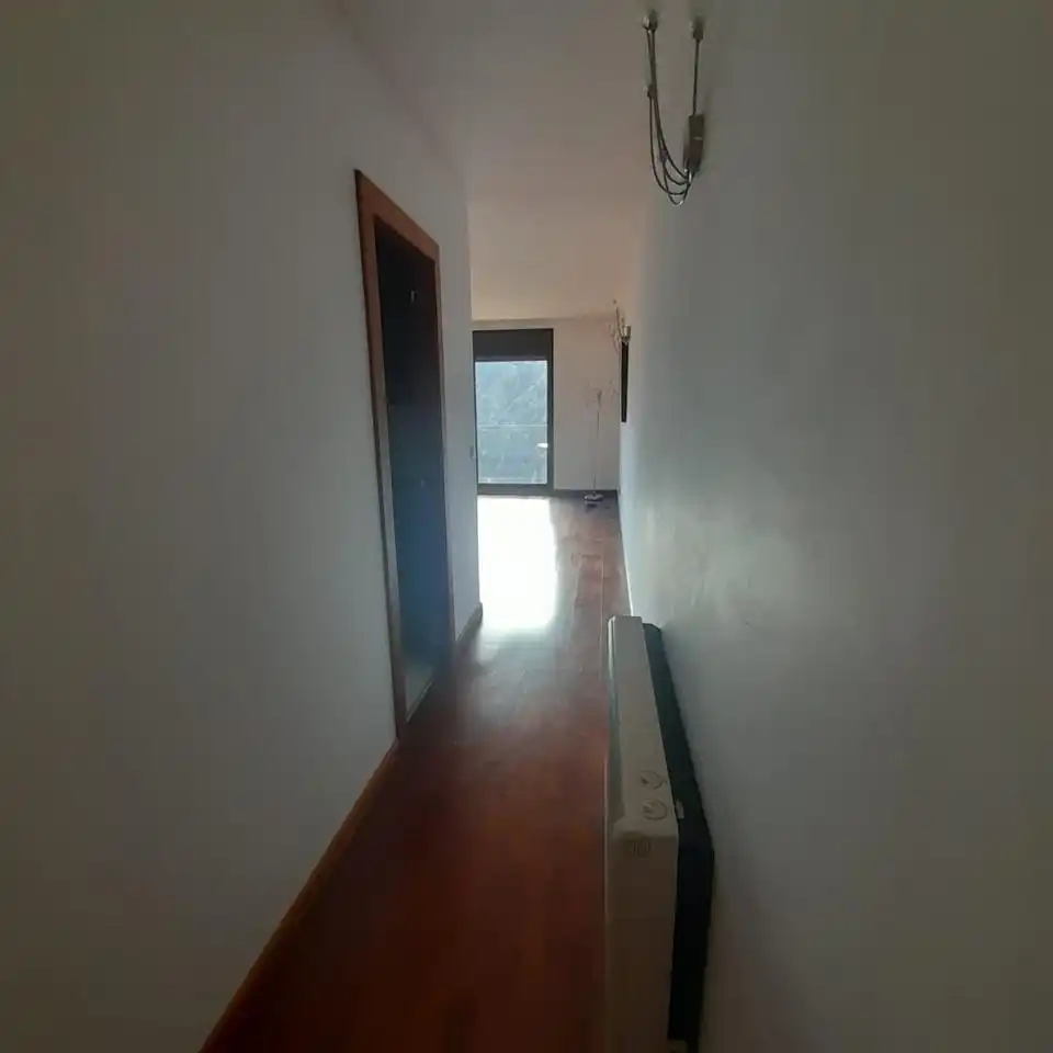 3-bedroom flat for rent in L'Aldosa, La Massana · 14 of 60