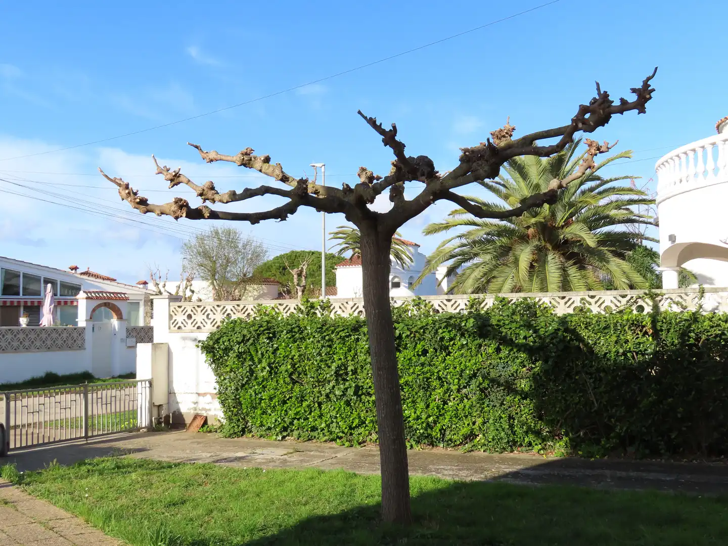 Jardín de Piso en venta en Empuriabrava con Jardín privado, Terraza y Amueblado