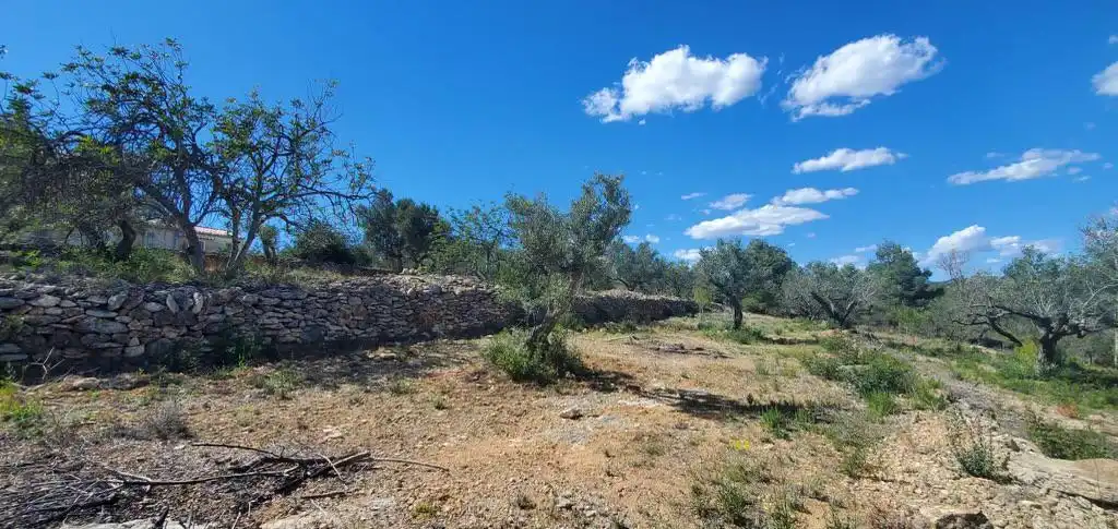 Finca rústica en venda a L'Ametlla de Mar pueblo