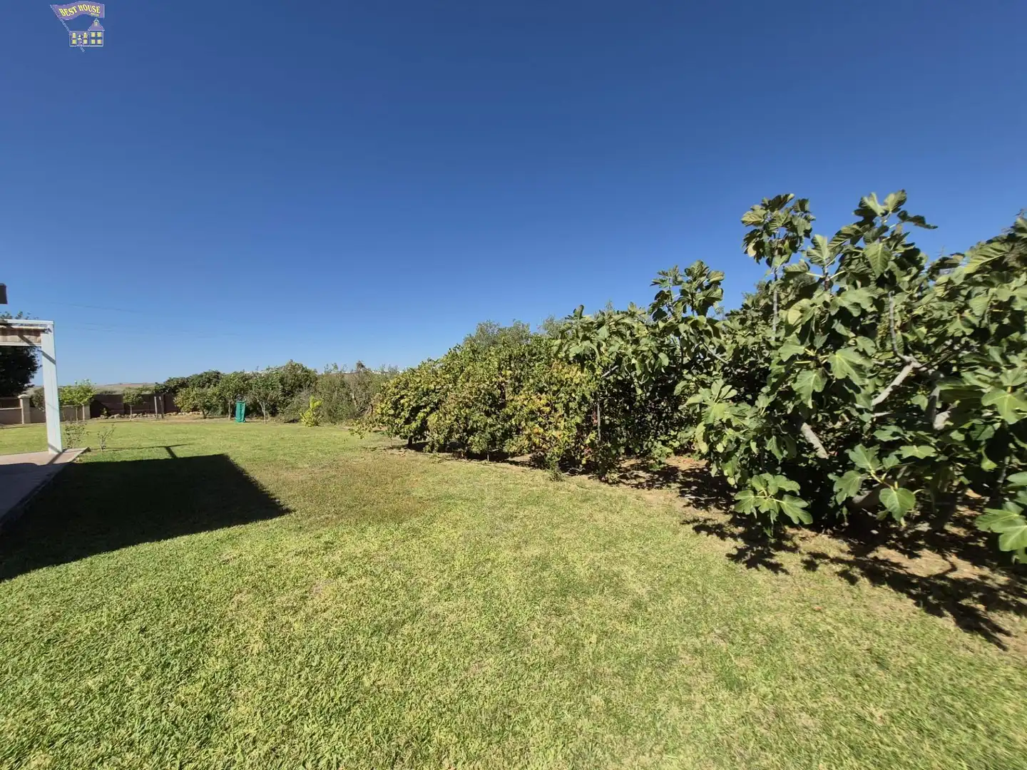 Villa avec piscine à vendre à Arcos de la Frontera, imagen 44
