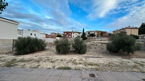 ESTUPENDO SOLAR ZONA ANTIGUA CTRA JÓDAR