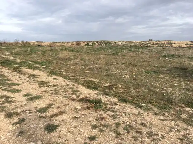 Terreno rustico in vendita a Chinchón, imagen 2