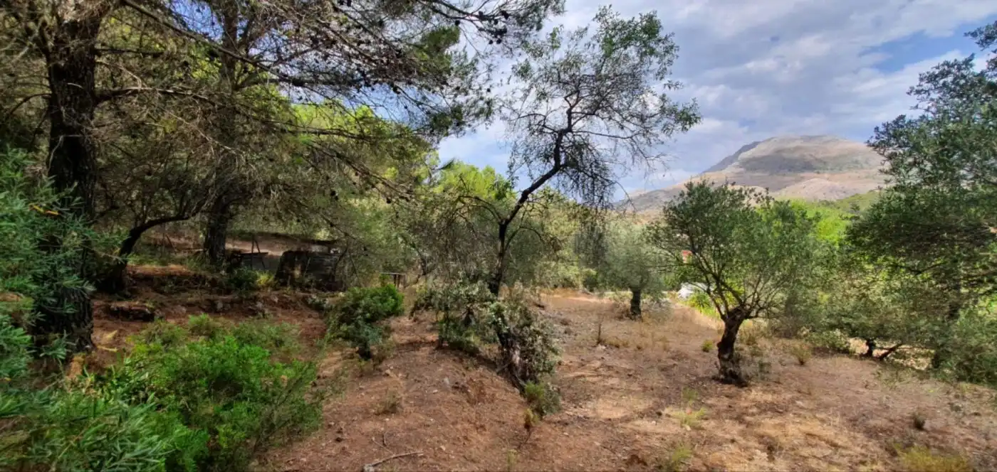 Terreni e lotti in vendita a Yunquera, imagen 18