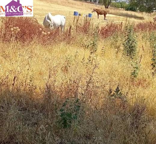 Terreno en Venta en El Poblado - Abulagar