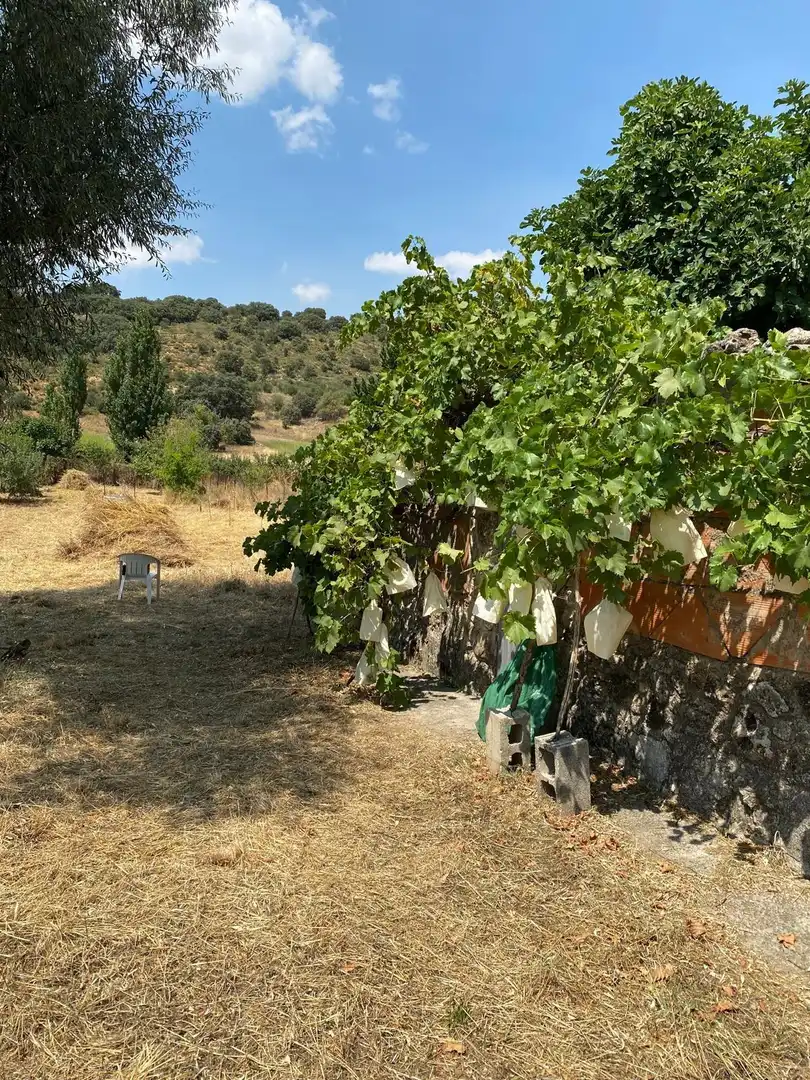 Jardín de Terreno en venta en Escopete