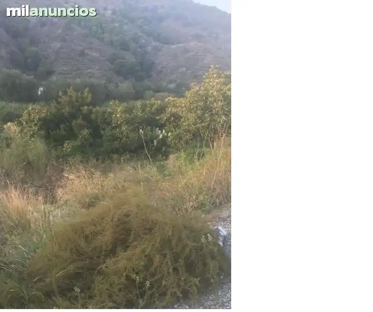 Terreno rústico en venta en Motril  ciudad, imagen 3