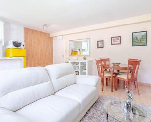 Sala d'estar de Apartament en venda en Aller