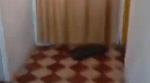 Photo 4 of House or chalet for sale in Centro, Mérida