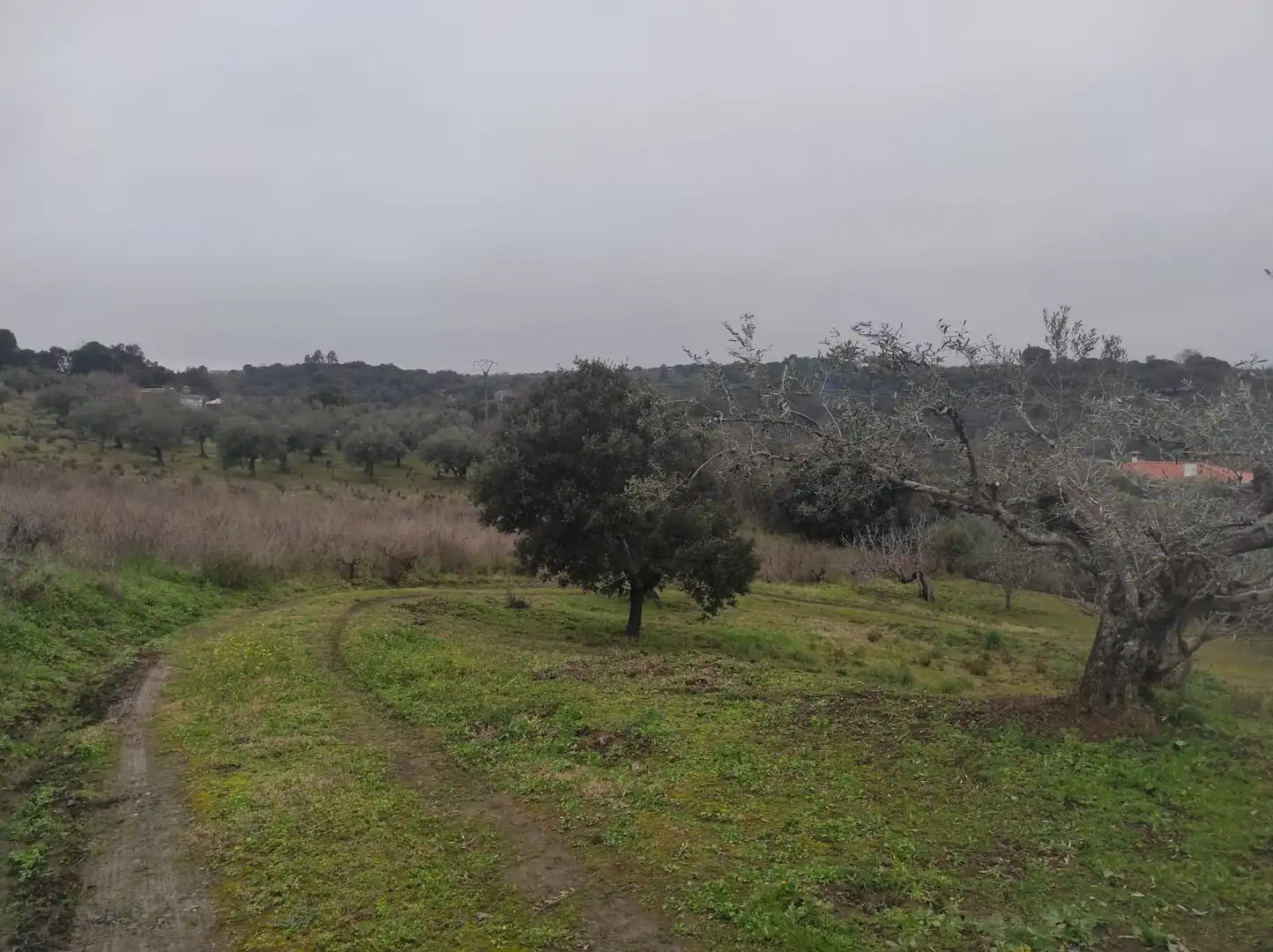 Terreno en venta en Plasencia