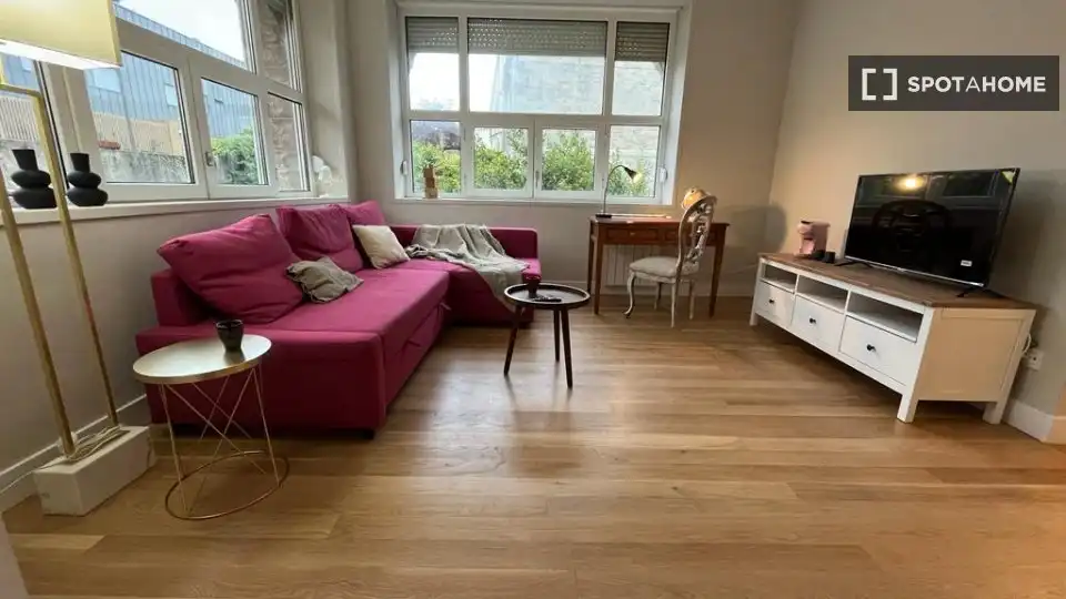 Living room of Flat for share in Donostia - San Sebastián   with Air Conditioner, Heating and Furnished