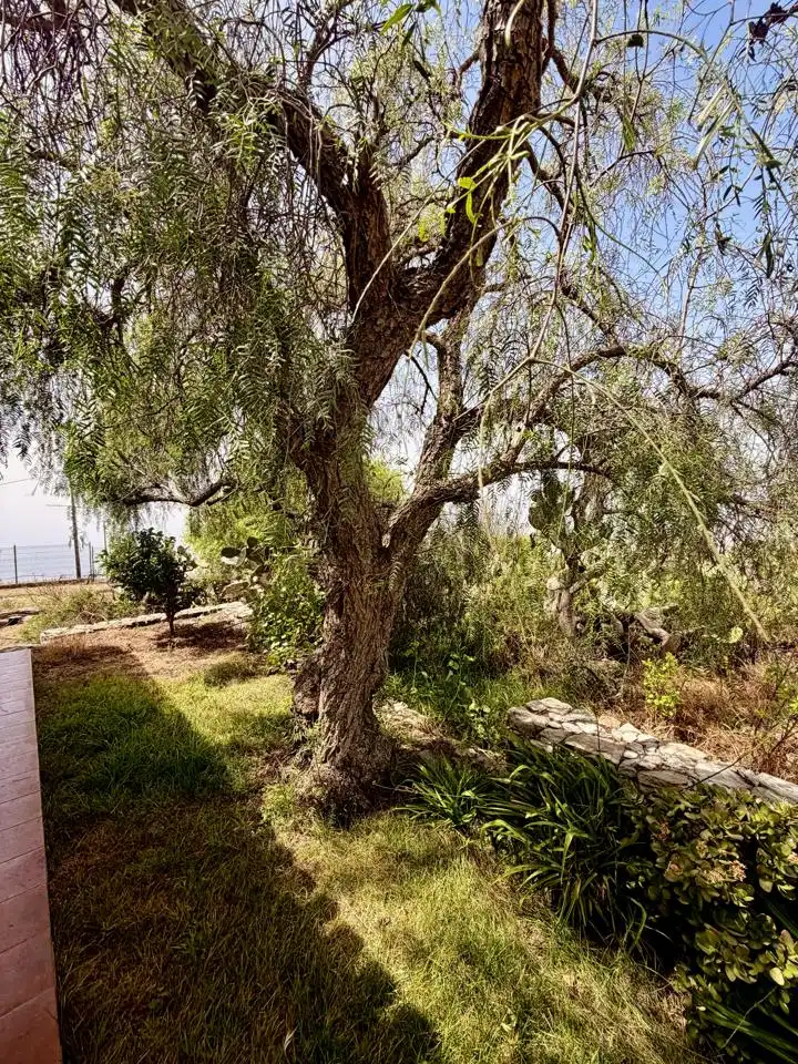 Jardí de Finca rústica en venda en Adeje amb Jardí privat i Terrassa