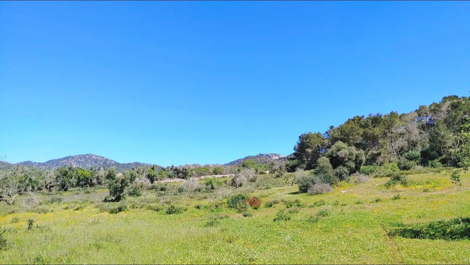 Residential land for sale in Polígono Polígono 33 Parcela 436, imagen 5