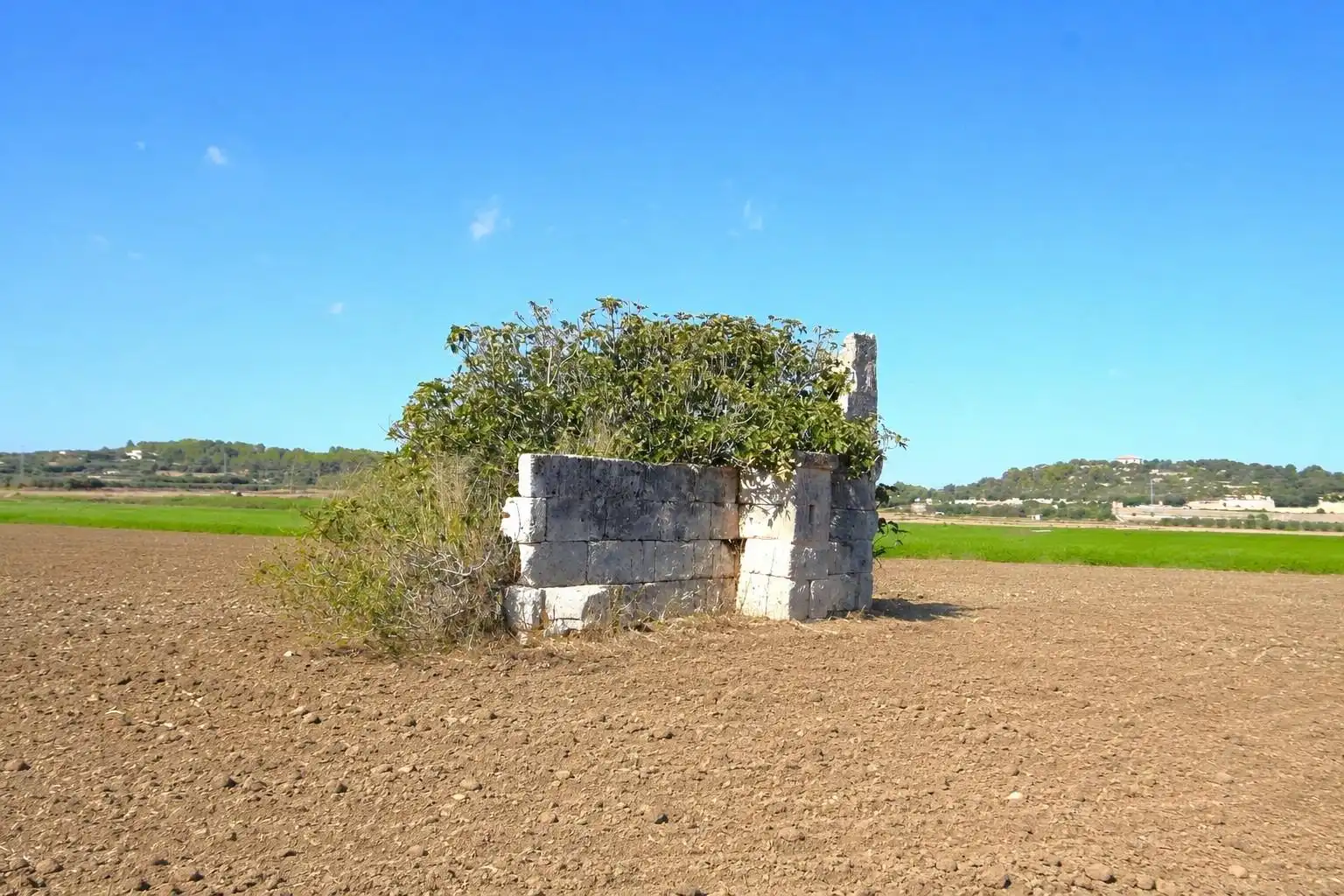 Rural land for sale in Muro, imagen 5