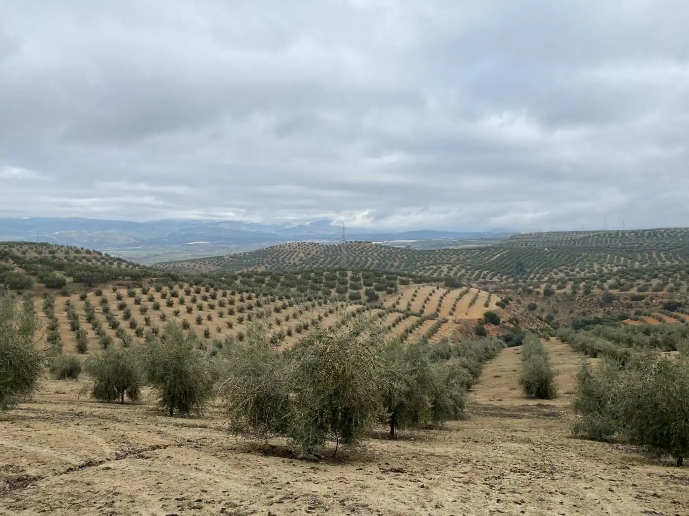 Casa rustica in vendita a Huétor Tájar, imagen 2