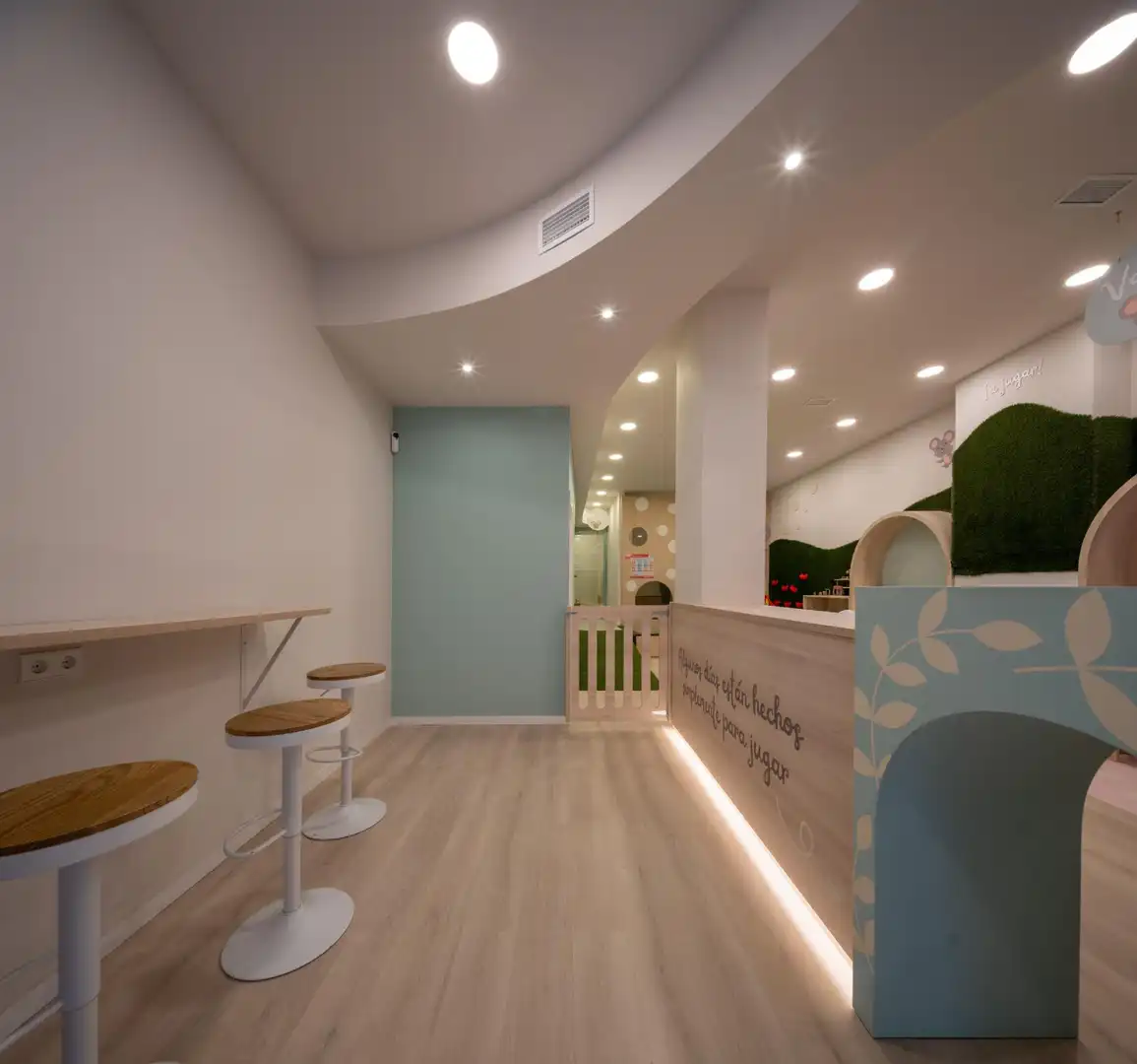 Local comercial de lloguer a Calle Calle Ruiz Blaser 8, imagen 12