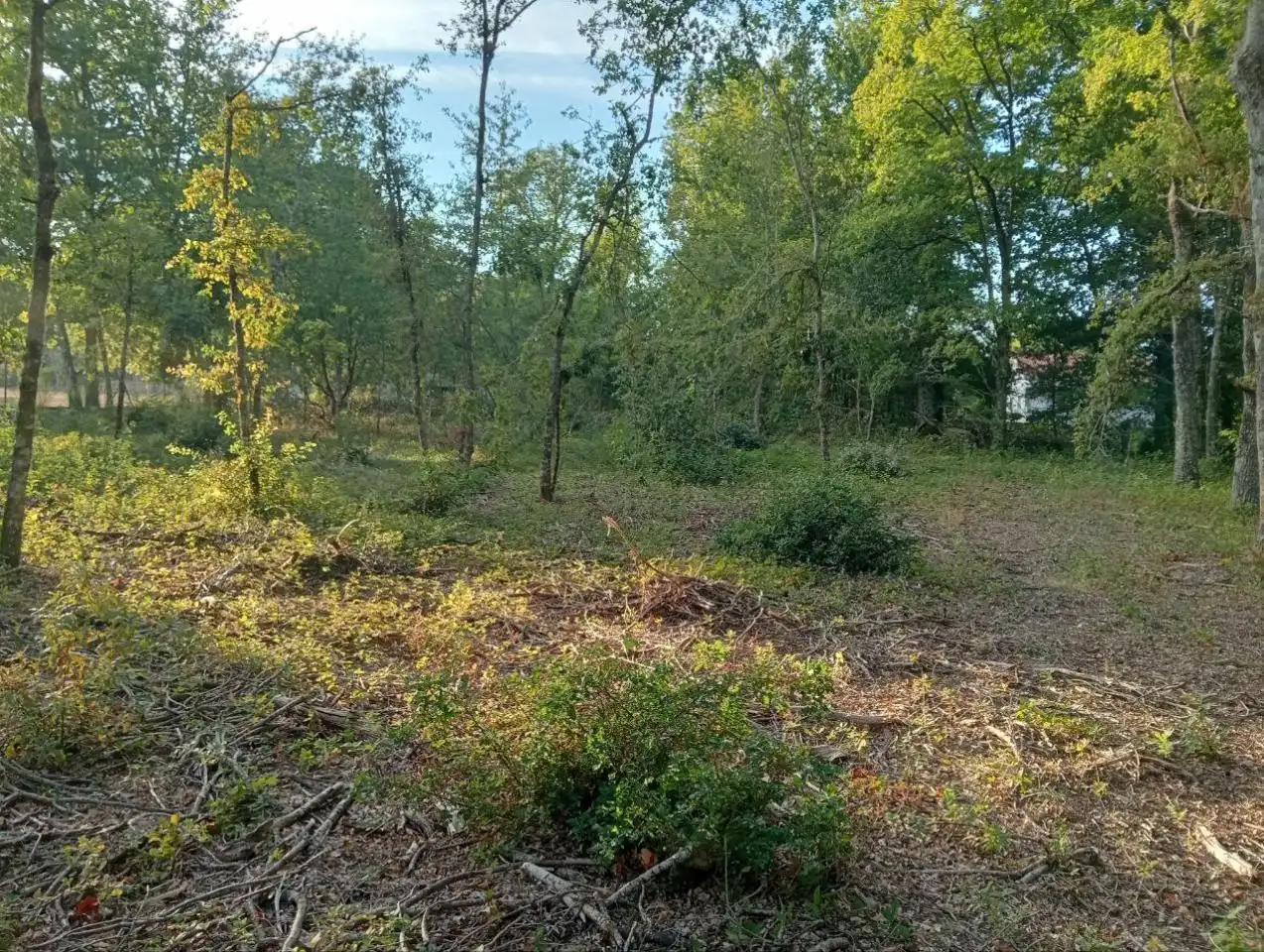 Terreni e lotti in vendita a Nogueira de Ramuín, imagen 7