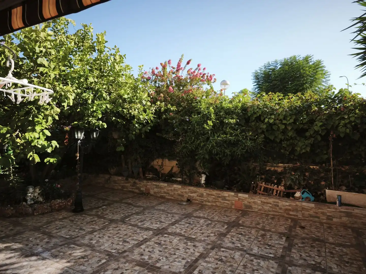 Apartments for rent in El Pinillo