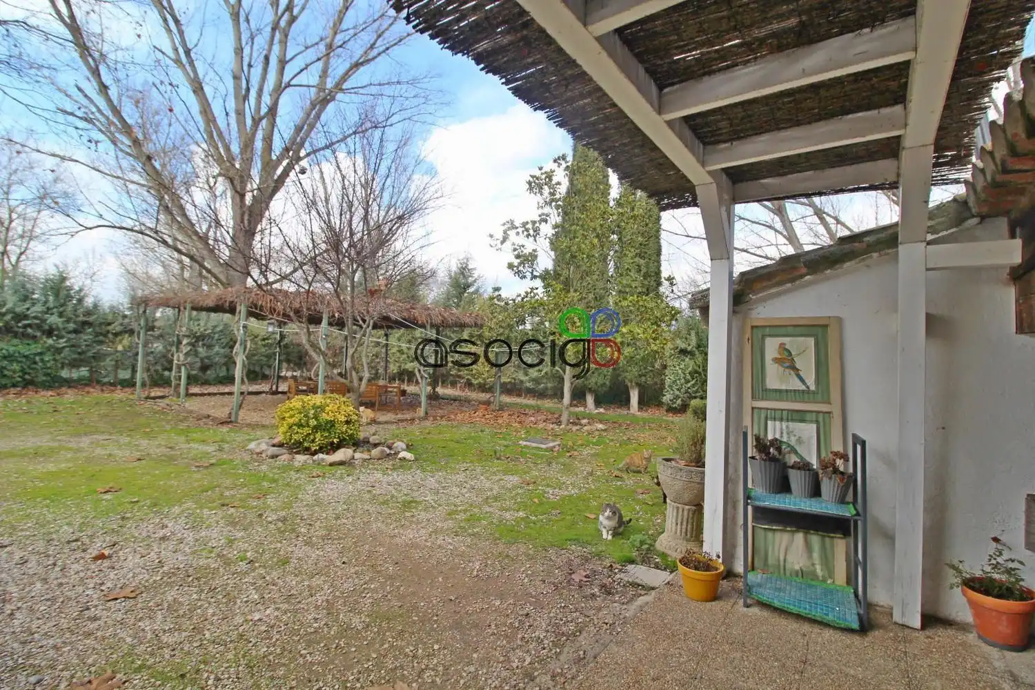 Jardín de Casa o chalet en venta en Heras de Ayuso con Jardín privado, Terraza y Piscina