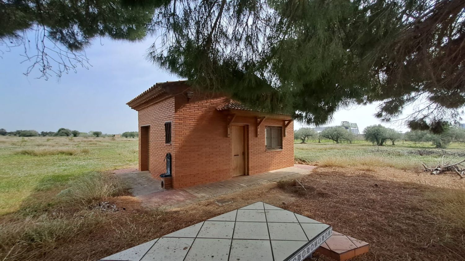 Vista exterior de Finca rústica en venta en Constantí